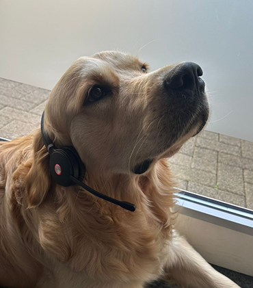 Balou